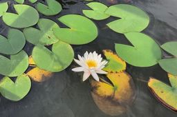 今日の一枚