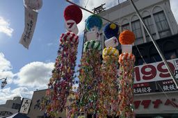 今日の一枚