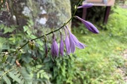 今日の一枚